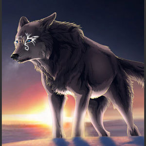 Meet your Posher, Eduardo